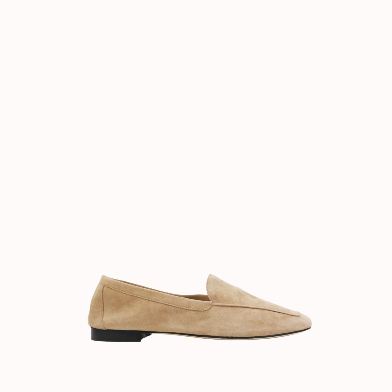 MARE CAMEL